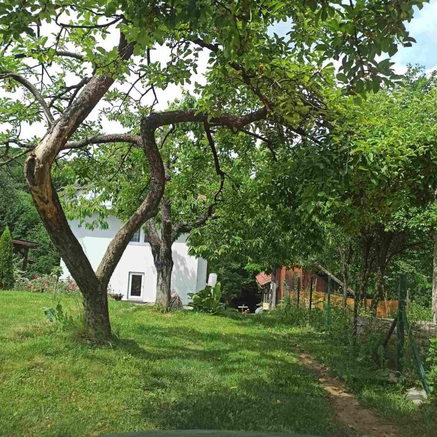 Guest House Bee Visoko Esterno foto