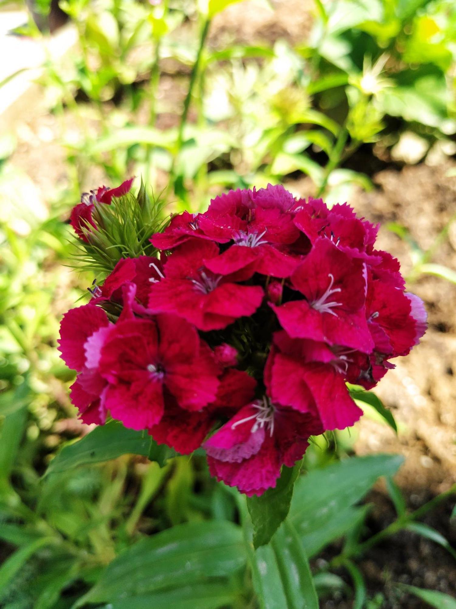 Guest House Bee Visoko Esterno foto